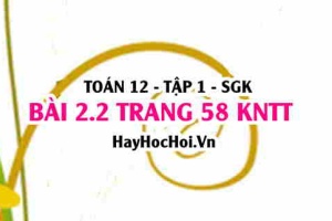 Bài 2.2 trang 58 Toán 12 tập 1 Kết nối tri thức
